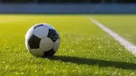 成都蓉城亚冠首战精彩呈现 3-0力克曼谷联彰显实力