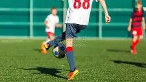 滚球平台官方网站 资讯 085809 7ox