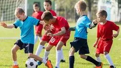 滚球平台官方网站 产品 085940 c6m