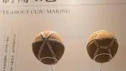 亚冠分析：柔佛对决广岛三箭，专家解读日队实力